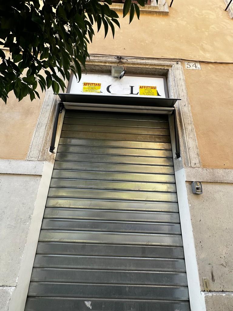 Articolo cellulare Gracchi